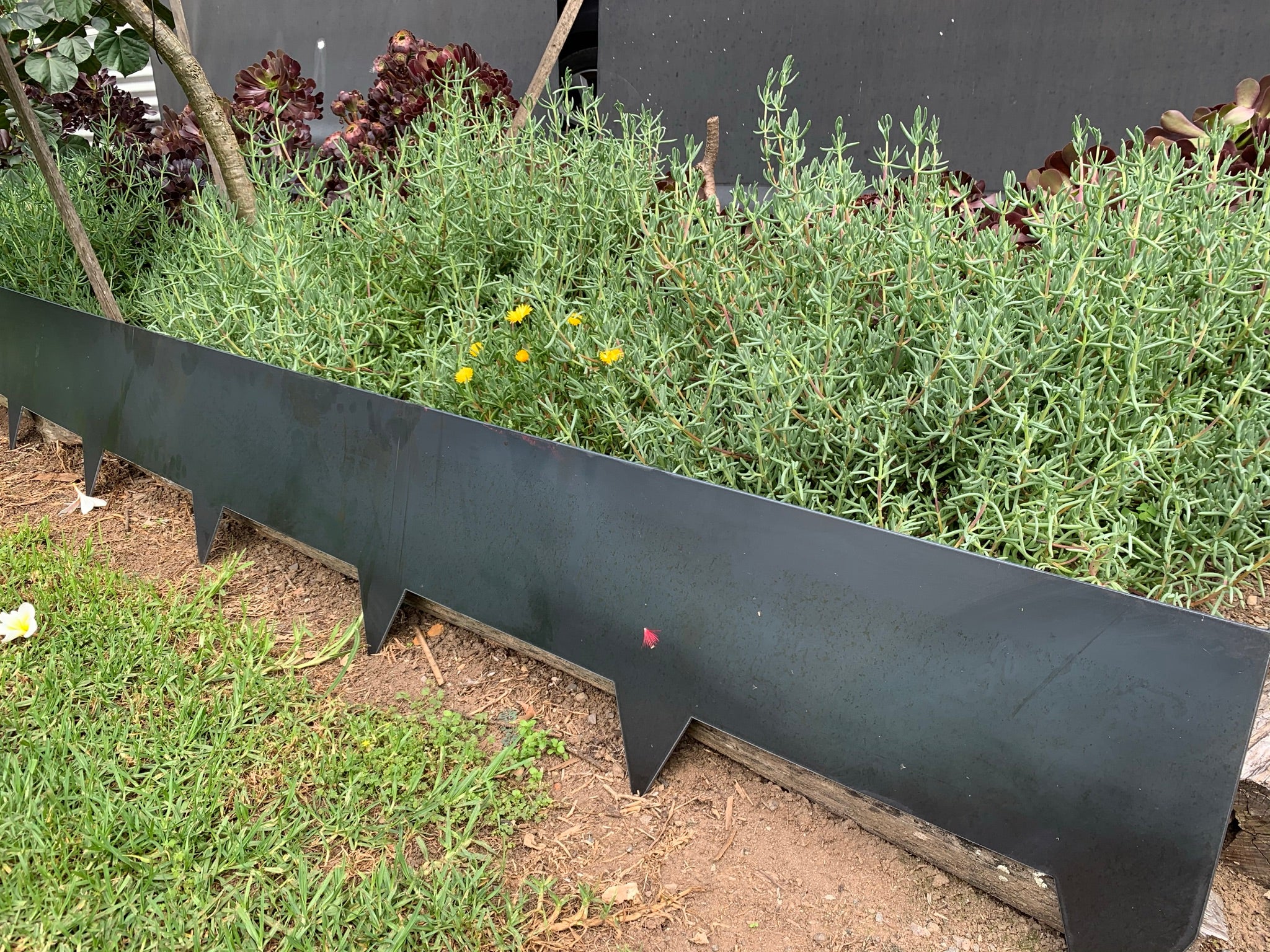 Straight Garden Edging | Rocket Rons | Sydney